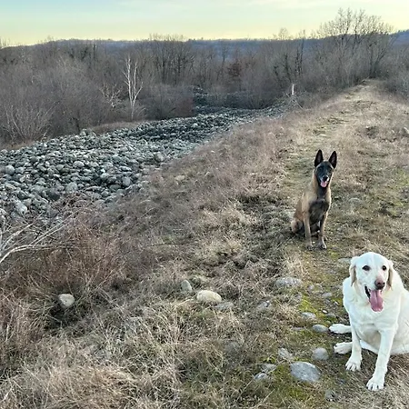 ゲストハウス La Casa Di Pietro Cerrione
