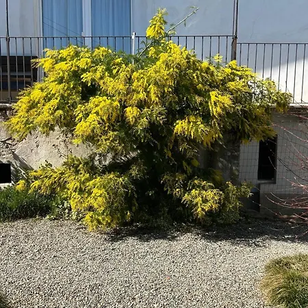 La Casa Di Pietro Penzion *